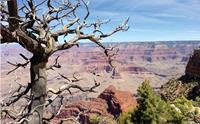 Grand Canyon National Park USA